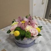  ,   , 47 ,   ,   