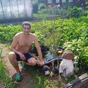 ���������� ������ �����, ���� ������� ������, 38 ���, ������������ ��� ����� � ���������, c�������� ���������