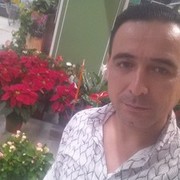  ,   BekPolat, 40 ,     , c 