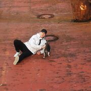 ���������� �����, ���� ������� �����, 30 ���, ������������ ��� ������, ����� � ���������