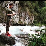 ���������� �������, ���� ������� �����, 31 ���, ������������ ��� ������, ����� � ���������, c�������� ���������, ���������