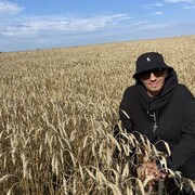 ���������� ������, ���� ������� �������, 42 ����, ������������ ��� ������, ����� � ���������