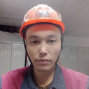  ,   , 41 ,     