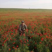 ���������� ������, ���� ������� ����, 35 ���, ������������ ��� c�������� ���������