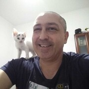  ,   , 46 ,   ,   