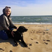 ���������� ������, ���� ������� �������, 58 ���, ������������ ��� ������, ����� � ���������, c�������� ���������, ���������