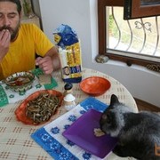 ���������� ������������, ���� ������� Dr Lues, 51 ���, ������������ ��� ������