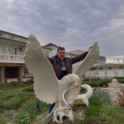 ���������� ������ ��������, ���� ������� ��������, 62 ����, ������������ ��� ������, ����� � ���������