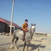 ���������� �������, ���� ������� ����, 31 ���, ������������ 