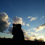 ���������� �����������, ���������