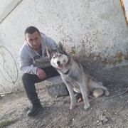 ���������� �������, ���� ������� �����, 36 ���, ������������ ��� ������, ����� � ���������, c�������� ���������