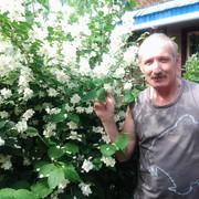  ,   , 61 ,   