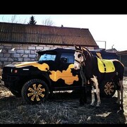 ���������� ���������, ���� ������� ������, 35 ���, ������������ ��� ������, ����� � ���������, c�������� ���������