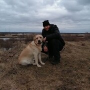 ���������� �������, ���� ������� �����, 41 ���, ������������ ��� ������, ����� � ���������, c�������� ���������