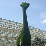 ���������� ������, ���� ������� ����, 45 ���, ������������ ��� ������, ����� � ���������