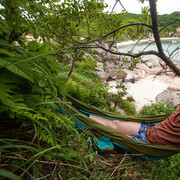 ���������� ���������, ���� ������� �������, 37 ���, ������������ ��� ������, ����� � ���������, c�������� ���������, ���������