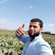 ���������� ���������, ���� ������� ������, 31 ���, ������������ ��� ������, ����� � ���������