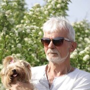 ���������� ����, ���� ������� Tigra, 66 ���, ������������ ��� c�������� ���������