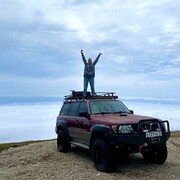 ���������� ���������, ���� ������� ������, 24 ����, ������������ ��� ����� � ���������, c�������� ���������