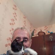  ,   , 71 ,   ,   