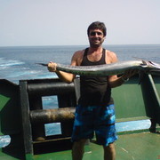  ,   Paata, 53 ,   ,   , c 