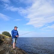 ���������� �����, ���� ������� ��������, 37 ���, ������������ ��� ������, ���������