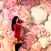  ,   , 26 ,  