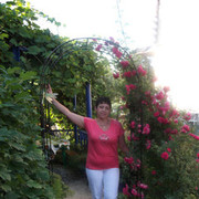 ���������� ������, ���� ������� ����, 62 ����, ������������ ��� ������, ����� � ���������, c�������� ���������