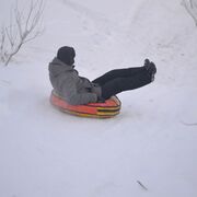 ���������� �����������, ���� ������� �����, 31 ���, ������������ ��� ������, ����� � ���������