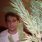 ���������� ������, ���� ������� ���������, 36 ���, ������������ ��� ����� � ���������, c�������� ���������