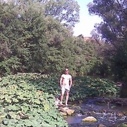 ���������� ���������, ���� ������� Roman, 44 ����, ������������ 