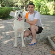 ���������� �������, ���� ������� Giorgi, 40 ���, ������������ ��� ������, ����� � ���������, c�������� ���������