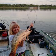  ,   Lada, 58 ,   ,   , c 