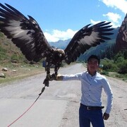  ,   , 27 ,   ,   , c , 