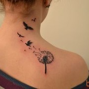 ���������� ������, ���� ������� �����, 42 ����, ������������ ��� ������, ����� � ���������, c�������� ���������