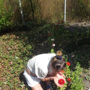 ���������� ����, ���� ������� ������, 38 ���, ������������ ��� ������, ����� � ���������, c�������� ���������