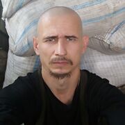 ,  , 41