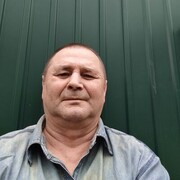  ,   , 62 ,   ,   