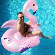 ���������� ������, ���� ������� ���������, 29 ���, ������������ ��� ������, ����� � ���������, c�������� ���������, ���������