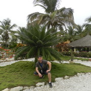 ���������� �����, ���� ������� Andre, 38 ���, ������������ ��� ������, ����� � ���������, c�������� ���������