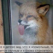 ���������� ��������, ���� ������� �������, 35 ���, ������������ ��� ������, c�������� ���������, ���������