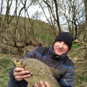 ���������� ������, ���� ������� ���������, 39 ���, ������������ ��� ������, ����� � ���������, c�������� ���������