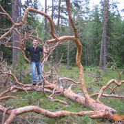 ���������� ���������, ���� ������� �������, 45 ���, ������������ ��� ������, ����� � ���������, c�������� ���������