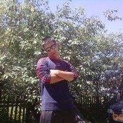  ,   22, 36 ,   