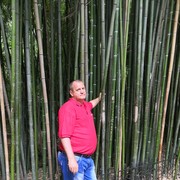  ,   , 53 ,   ,   , c 