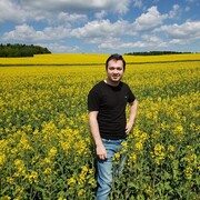 ���������� �����, ���� ������� ����, 29 ���, ������������ ��� ����� � ���������, c�������� ���������, ���������