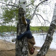 ���������� �������, ���� ������� ��������, 33 ����, ������������ ��� ����� � ���������, c�������� ���������