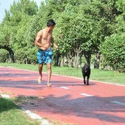 ���������� �������, ���� ������� Temo, 34 ����, ������������ ��� ������, ����� � ���������, c�������� ���������