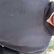  ,   , 32 ,   ,   