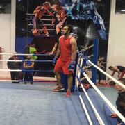 ���������� ���������, ���� ������� �������, 29 ���, ������������ ��� ����� � ���������, c�������� ���������